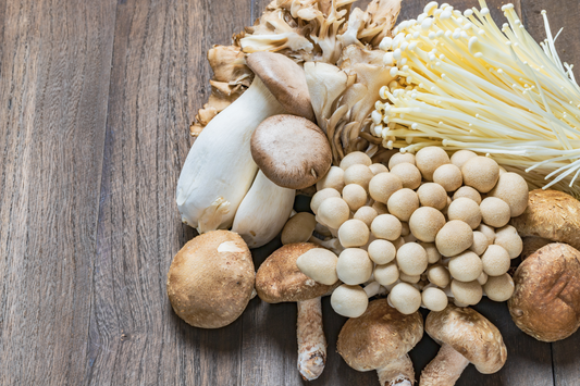 Apex Mushroom Recipes: Exploring Delicious Mushroom Feasts